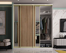 Корпусный шкаф-купе в профиле «Зелёный агат»